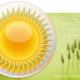 Protect Surfaces from UV Damage