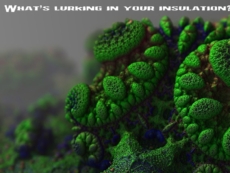 mold and mildew resistant insulation