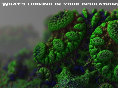 mold and mildew resistant insulation