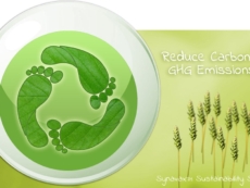 blog-header-ss-carbon-emissions
