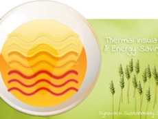 blog-header-ss-energysavings