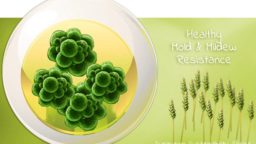 mold and mildew resistance