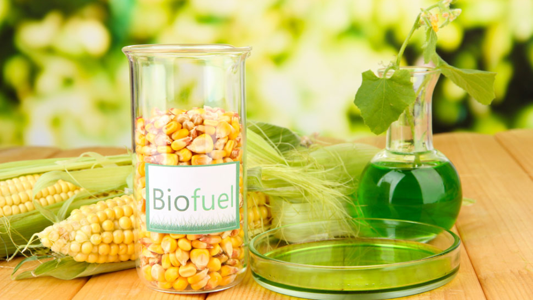 Biofuel Sustainable Energy