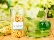 Biofuel Sustainable Energy