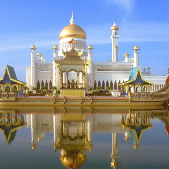 CS-mold-palace-940x600