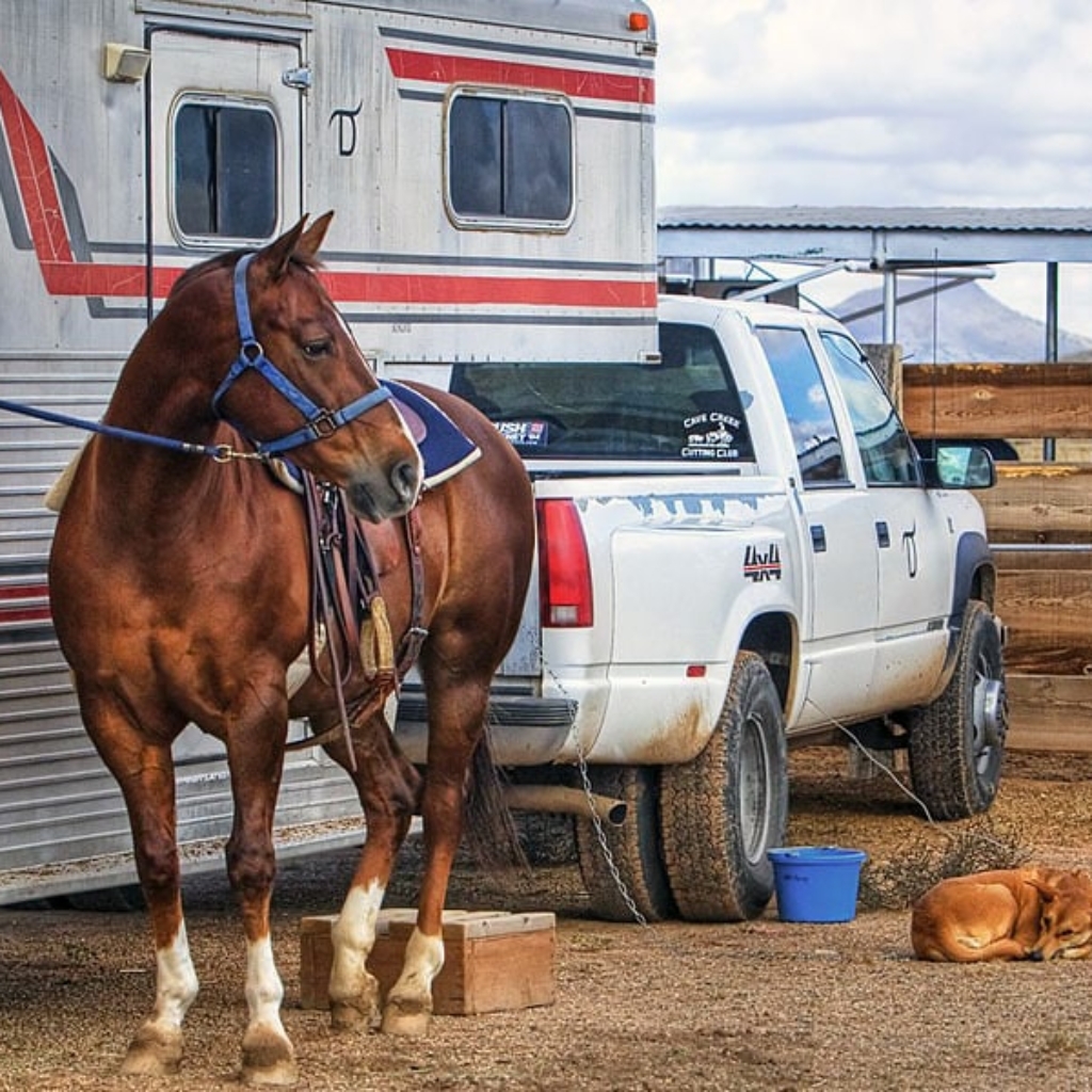 CS-other-horsetrailer-940x600