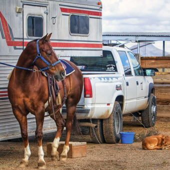 CS-other-horsetrailer-940x600