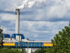 Steam Pipe Insulation Can Equate to Over 4,000 Trees Grown