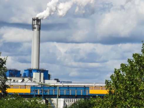 Steam Pipe Insulation Can Equate to Over 4,000 Trees Grown
