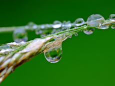 Facts-about-Moisture-and-Insulation