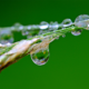Facts-about-Moisture-and-Insulation