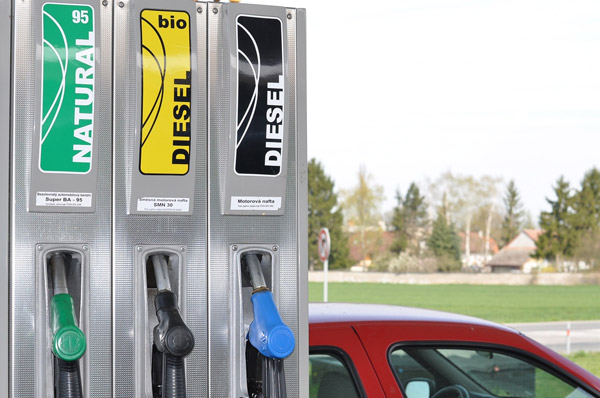 insulation for biofuel facilities