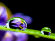Hydrophobic Coatings