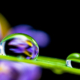 Hydrophobic Coatings