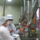 Safe Thermal Insulation for Food and Beverage Manufacturing