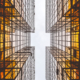 keep-buildings-cooler