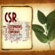Corporate Social Responsibility Report