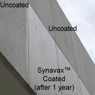 Mold resistant insulation