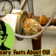 Scary Facts About Corrosion Under Insulation