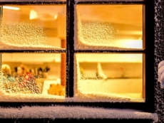 Prosyneffex™ Stay Warm Insulation Coatings